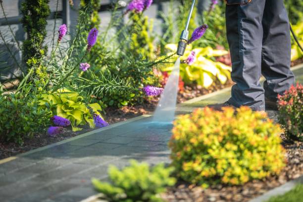 Best Residential House Exterior Washing  in Verde Village, AZ